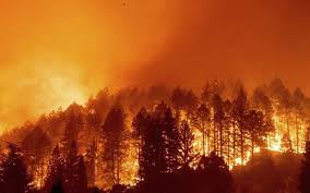 Cháy rừng ở California gây thiệt hại 150 tỉ USD, ngành bảo hiểm sốc nặng